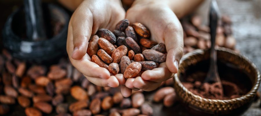 Cherishing Cacao