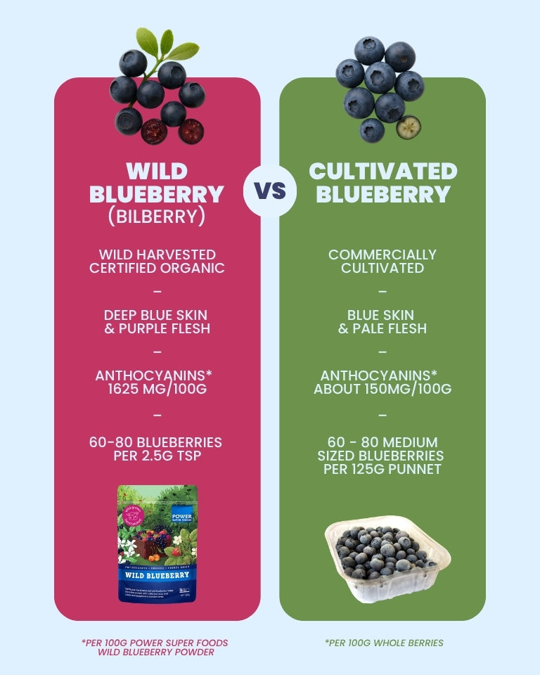 Wild Blueberry Powder - Certified Organic