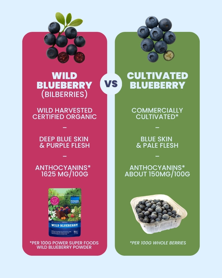 Wild Blueberry Powder - Certified Organic