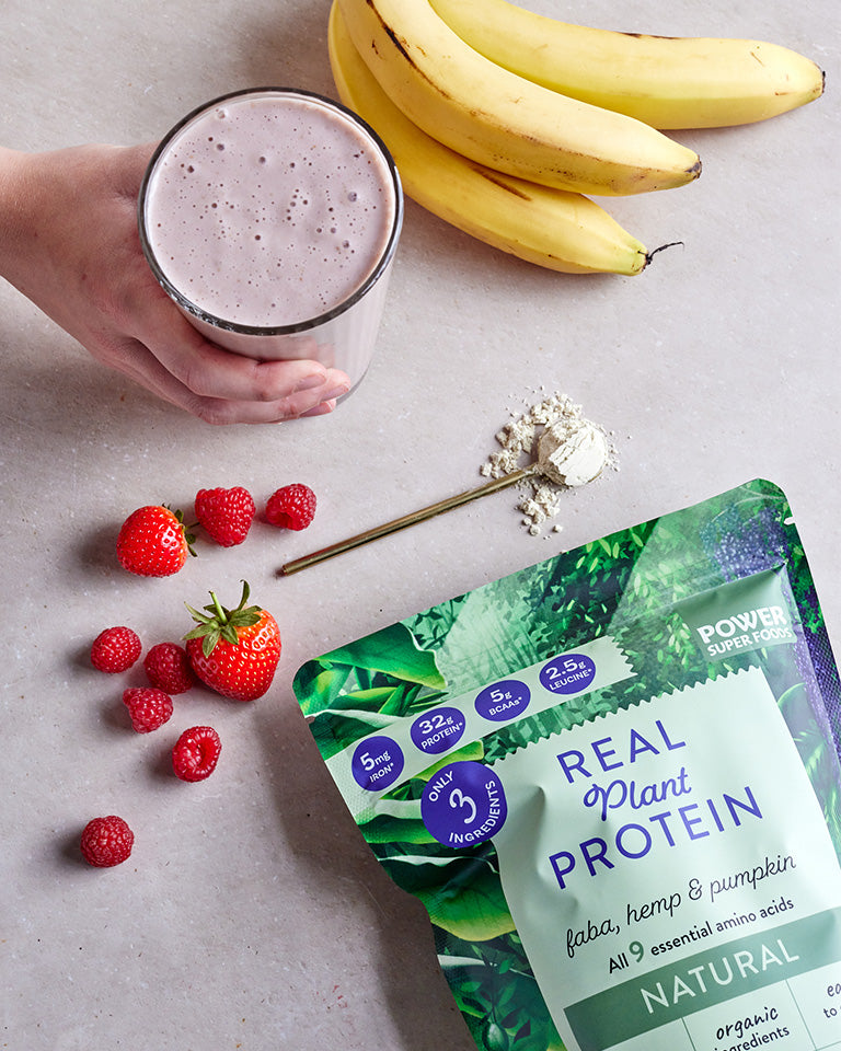 Real Plant Protein Powder Natural